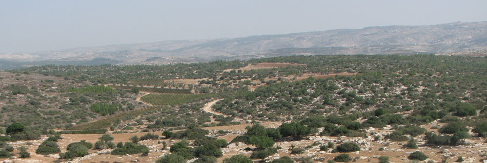 YoaView