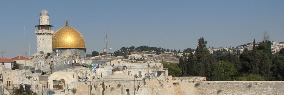 YoaView