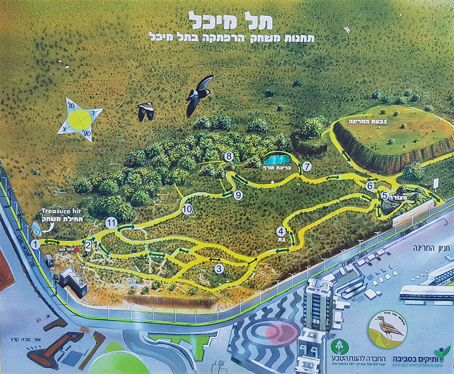 Yoaview | מצודה רומית מעל אָרֵנָה הרצליה - תל מיכל